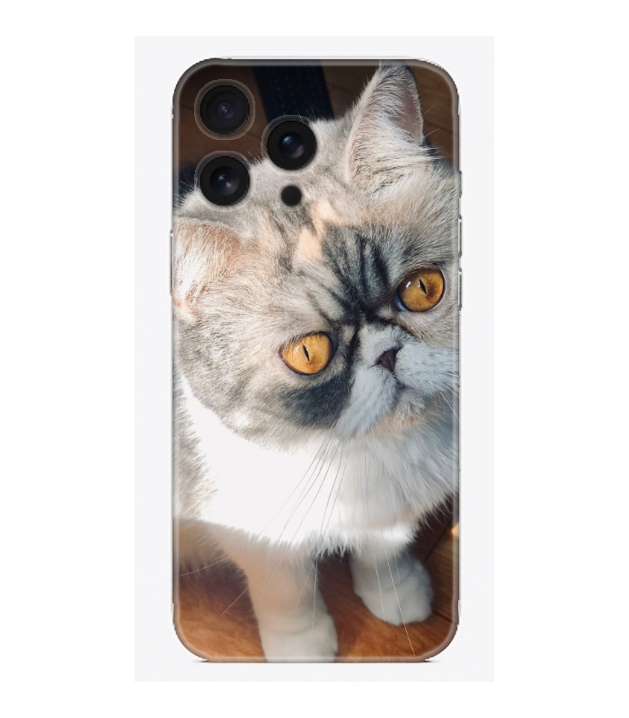 Tombuk Kedi Telefon Kılıfı