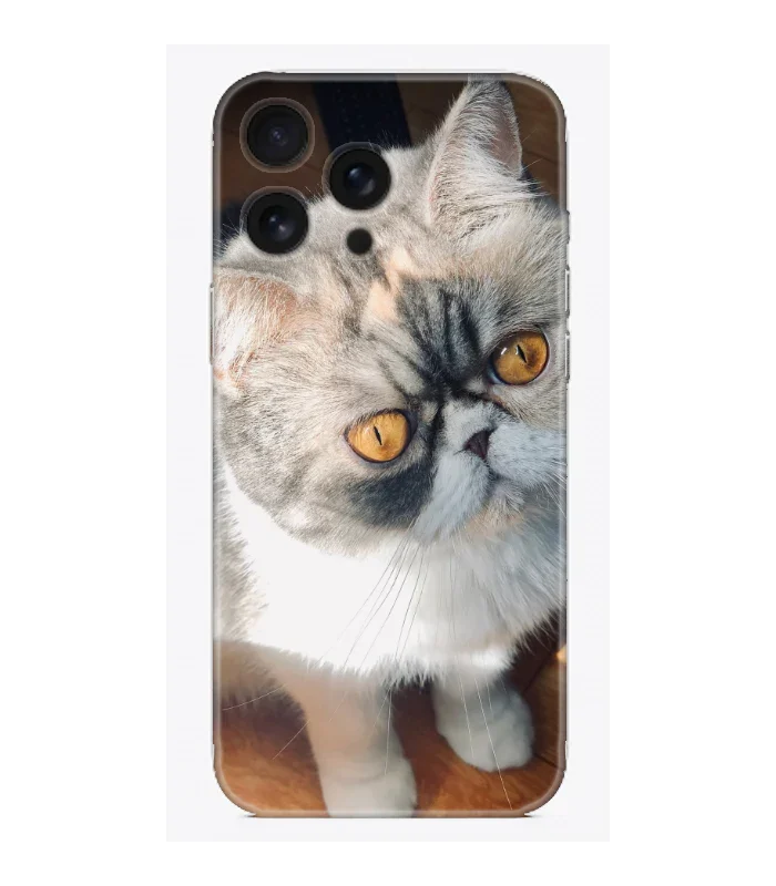 Sarı gözlü kedi desenli, şeffaf telefon kılıfı